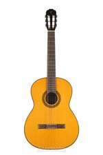 Takamine GC1 NAT, Nylon String