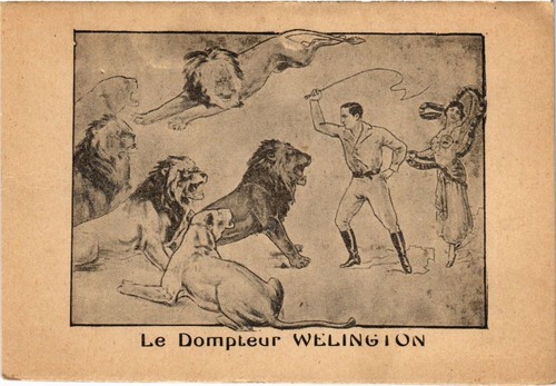 Dompteur welington circus - pc,