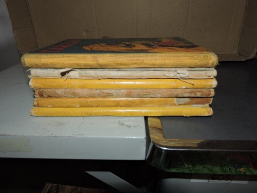 Lot tarzan hachette 30 - lot, an.