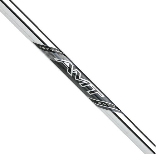 2025 true temper amt tour - 2025,