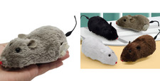 Jeu Chat Chasse Souris À