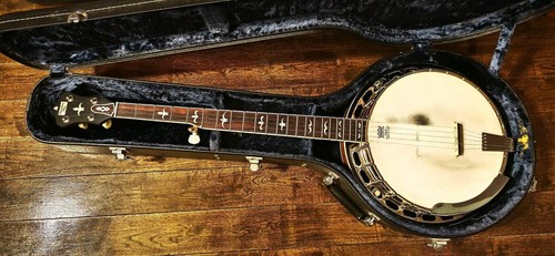 Recording king r35 string - king, 5-string