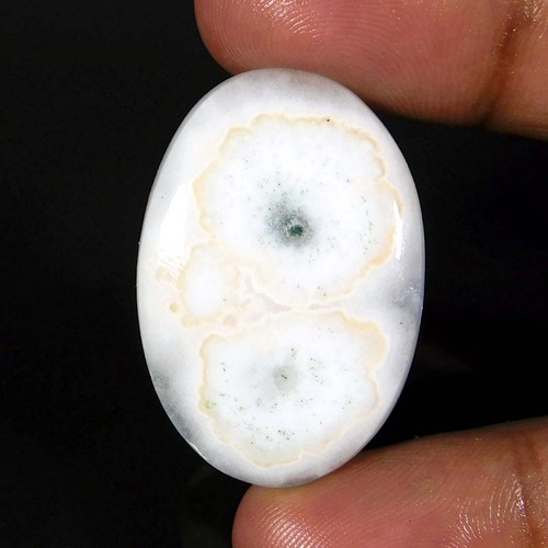 Cabochon ovale blanc - , naturel