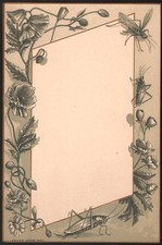 Menu vierge. Insecte