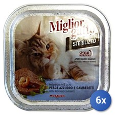 6X Meilleur Chat Bac 100