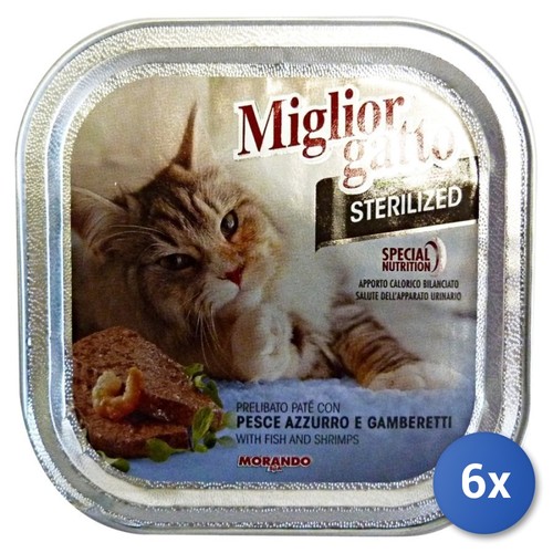 Meilleur chat bac 100 - 6x,