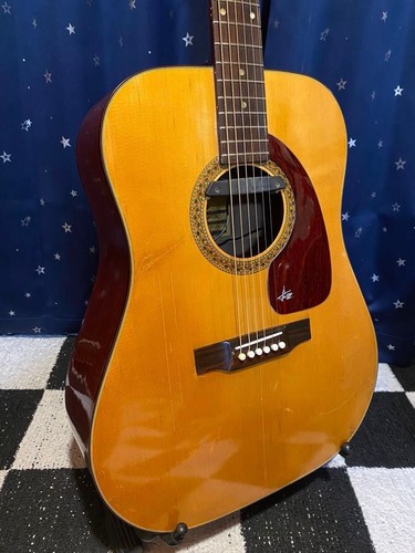 Guitare électrique acoustique