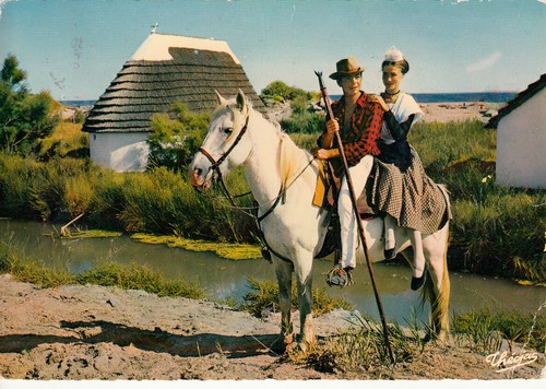 Carte postale postcard 10x15cm - carte,