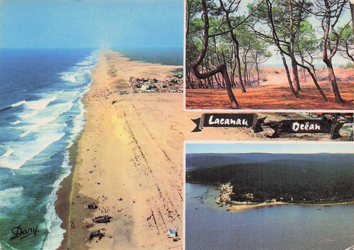 Lacanau ocean - 33,