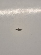 REVEIL CYMA R.10 - UN AXE DE