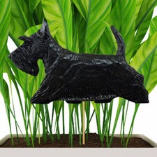 Piquet De Plante Scottish Terrier Noir