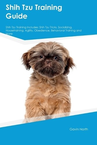 Gavin north shih tzu - gavin,