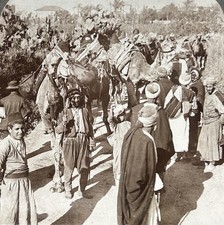Palestine Jaffa Une caravane