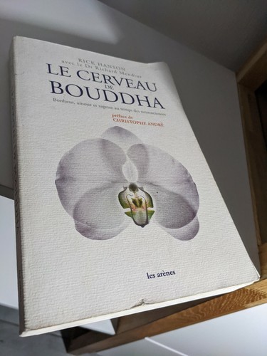 Cerveau bouddha - le,