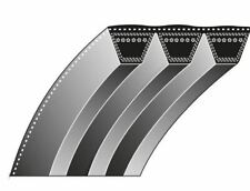 Courroie Crantée Tondeuse À