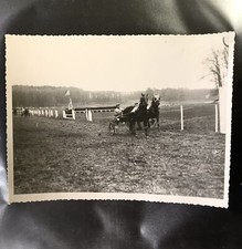 Photo Cheval Trotteur De  Robert De Rozycki Course Hippique Horse Racing 1947 2