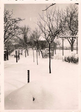 ANCIENNE PHOTOGRAPHIE A GRAND