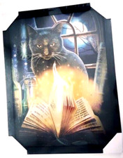 CADRE POSTER 3D - 3 IMAGES - Chats et magie