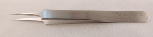 Dumont inox brucelles de - inox,