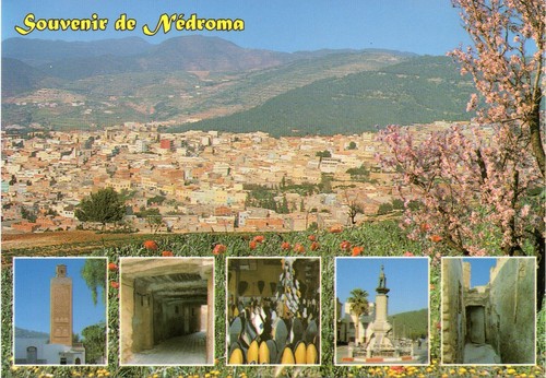 Algeria postcard tlemcen - algeria, postcard,