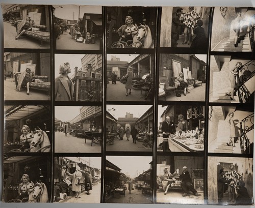 Photo france pin planche - photo,