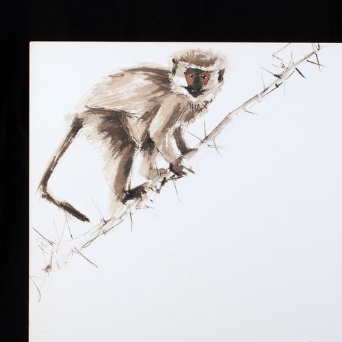 Pierre letellier gazelle - letellier,