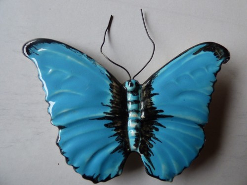 Ancien papillon morpho - ancien,