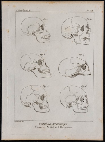 1825 variétés du - -,