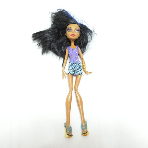 Monster high lot accessoire - high,