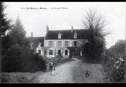 Herry chien garde au - chien, de