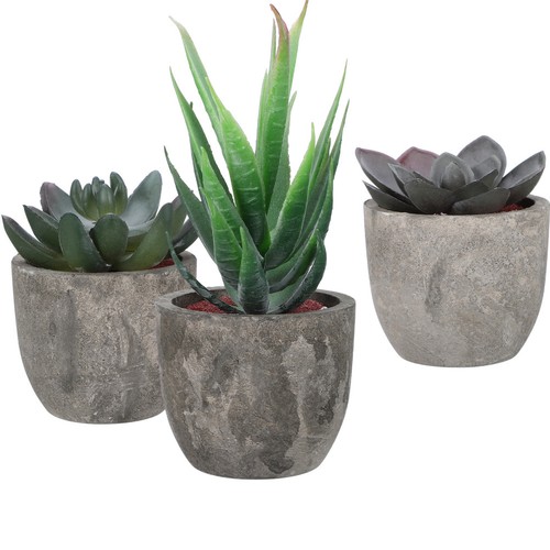 Décor végétal plante - décor,