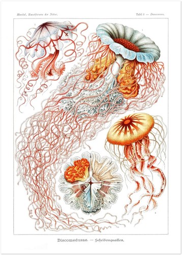 Poster artistique méduses - artistique, "méduses