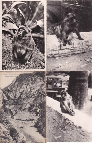Lot cartes postales - lot, de