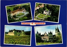 CPM Chateaux de Bourgogne FRANCE (1376245)