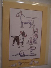 CARTE + ENVELOPPE - chien