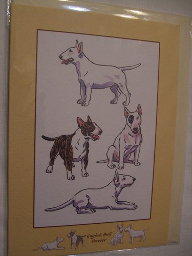 Carte enveloppe chien - enveloppe,