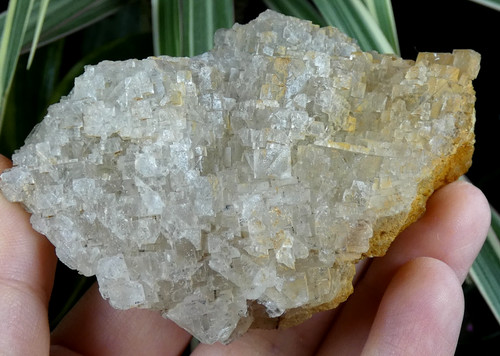 Belle fluorite fontsante - fluorite,