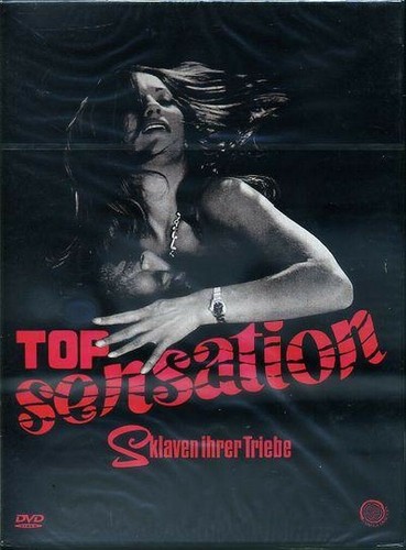 Top sensation camera obscura - top,