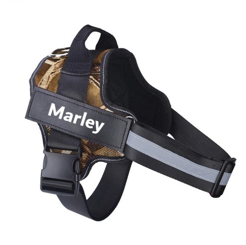 Harnais chien collier - harnais,