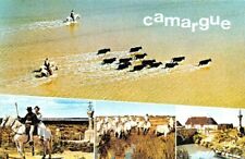 EN CAMARGUE - Croix des Gardians - chevaux - marais - vue du ciel par A.Parceval