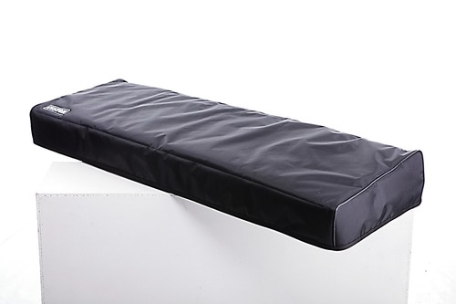 Custom padded cover for - , korg
