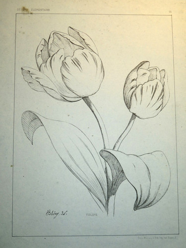 Eugène blery rare - blery,
