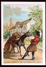 image chromo . l'âne revêtu de la peau du lion