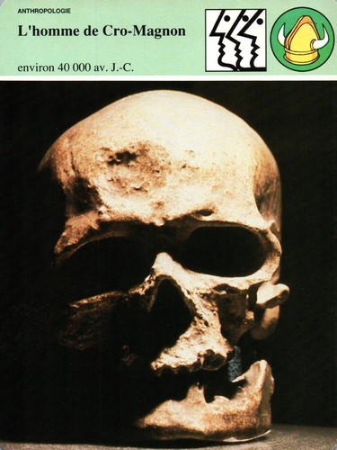 Fiche histoire homme - histoire, de