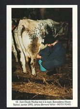 ESMOULIERES (70) ELEVEUR