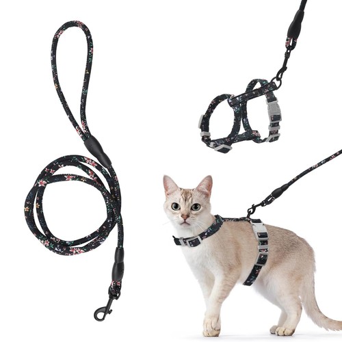 Harnais pour chat avec laisse - chat,