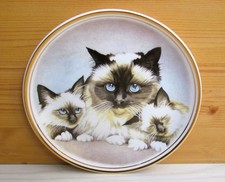 Assiette Chats Sacré de Birmanie / Birman en porcelaine de collection EDWARDIAN