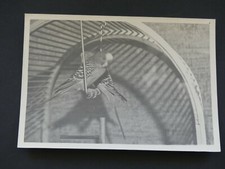 Vintage photo - 2 birds in a cage close up 7 x 5"