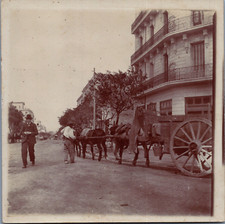 Algérie, Oran, Attelage d'Ânes dans la Rue, vintage citrate print, 1904 Vin