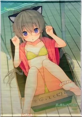Tapisserie mashiro arisaka - arisaka, b2